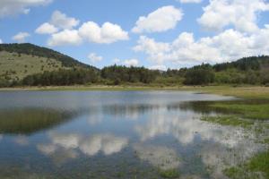 Odsev_oblakov_Tim Oblak